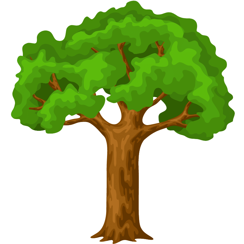 Wilson Tree Service Tree Care Tips